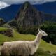 Como conhecer Machu Picchu