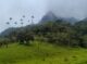 Salento Vale de Cocora Colombia