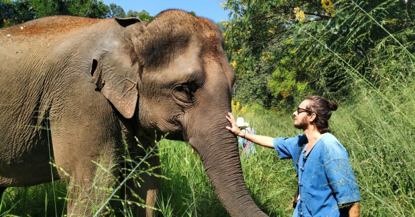 Visitar um santuário de elefantes em Chiang Mai