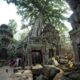 Ta Prohm Angkor Camboja